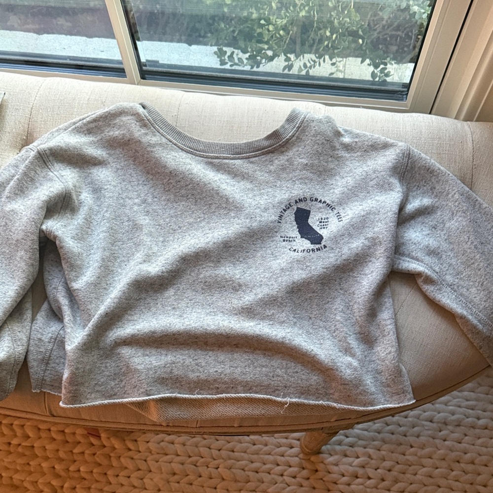 Brandy Melville Gray Sweatshirt with Blue Graphic
